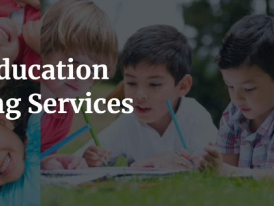 Effectual Education Services