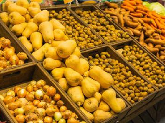 Wasat Al Madina Vegetables And Fruit Trading