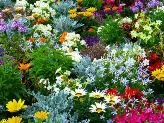 Aswat Almadinah Landscaping Works