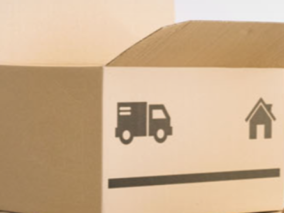 Shahen Movers & Packers Storage