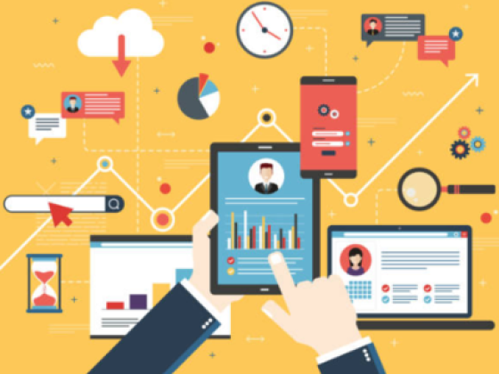 Msp Associates Project Management Services