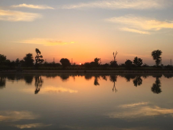 Lake Of Love