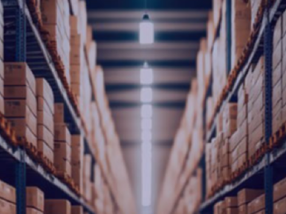 Ell Worldwide Movers