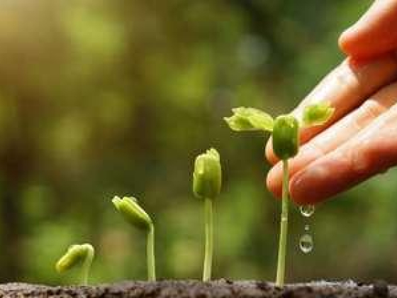 Zahrat Al Aweer Agricultural Material Trading