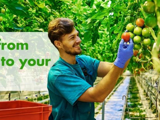 Organic & Real Foodstuff Trading