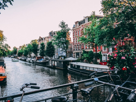 Fun, Films & Flowers in Amsterdam
