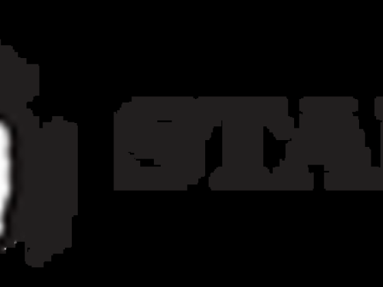 Stallion Technical Services