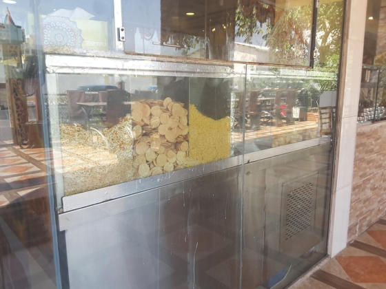 Swades Vegetarian Restaurant