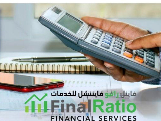 Final Ratio Consulting L.l.c