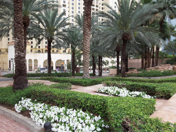 The Ritz Carlton Dubai