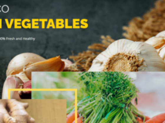 Freshco General Trading