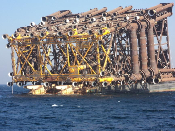 Green Palm Marine Consultancy