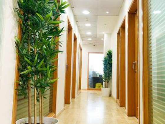 Venture Zone Business Services