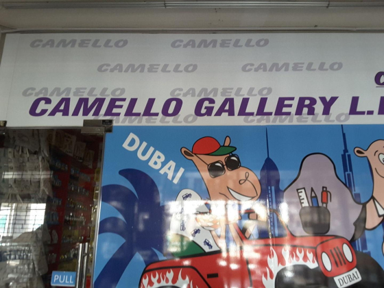 Camello Gallery
