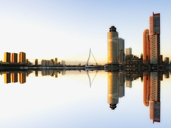 A Day in Rotterdam