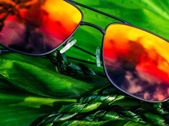 Life Opticals