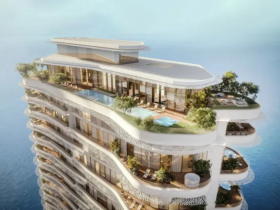Aludra Estates L.L.C