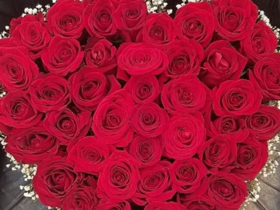 Fresh Flowers Land & Gifts Trading