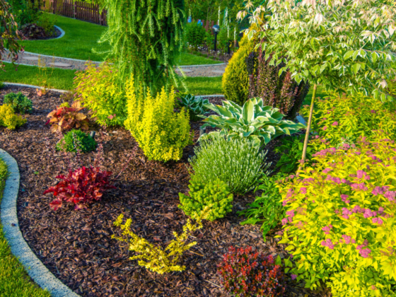 Latinem Landscaping