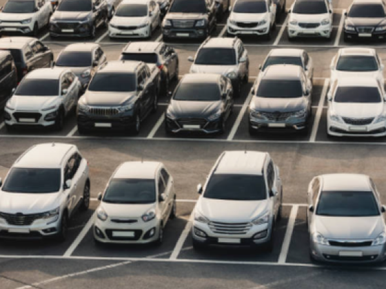 Sky 77 Car Rental