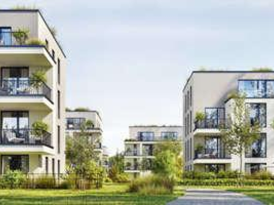 True Deal Properties