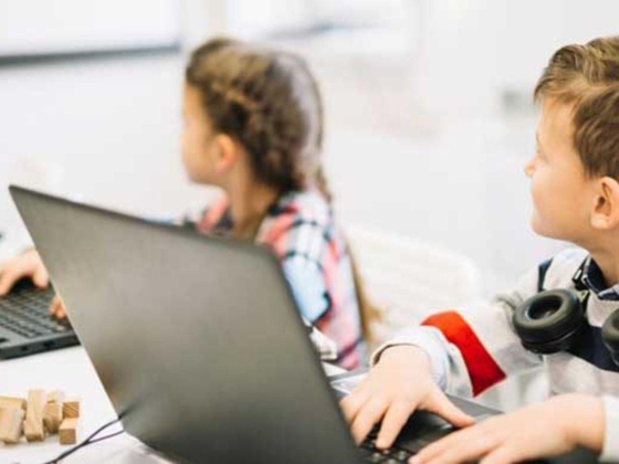 Sahara Education Service