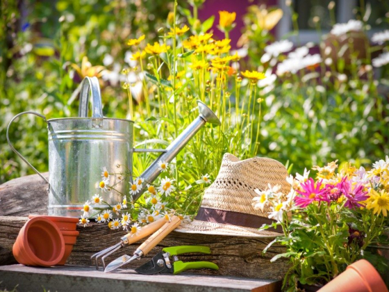 Excellent Reasons to Hire a Gardener to Maintain Your Yard