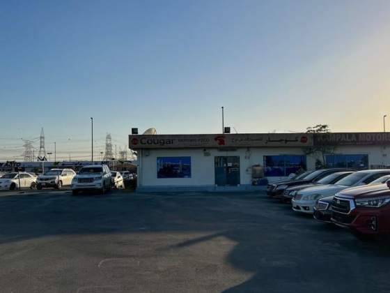 Cougar Motors