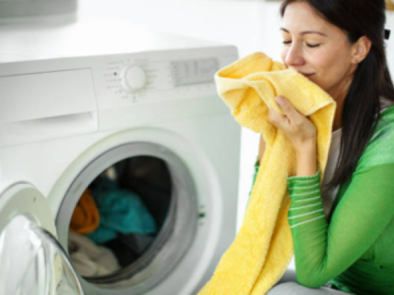 Hasan And Rafiq Laundry