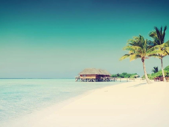 Centurion Travel LLC