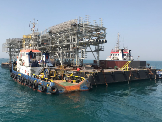 Echo Cargo & Shipping Fzco