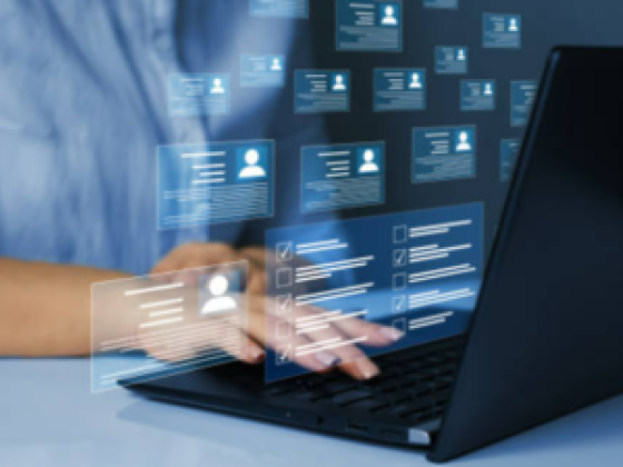 Advance Level Human Resources Consultant Services