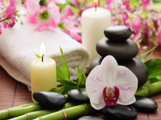 Lavender Spa Ladies Salon
