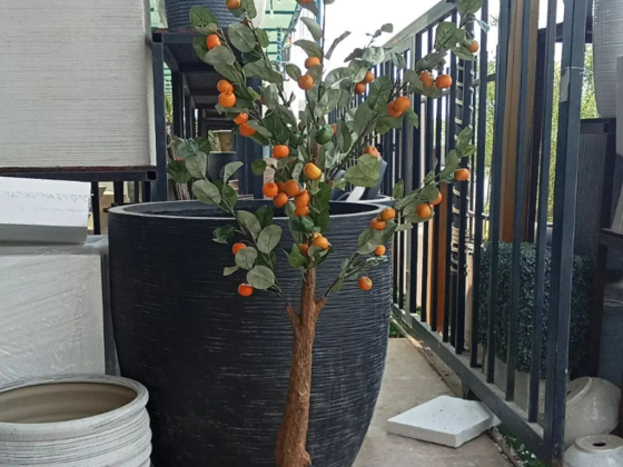 Royal Green House Trading