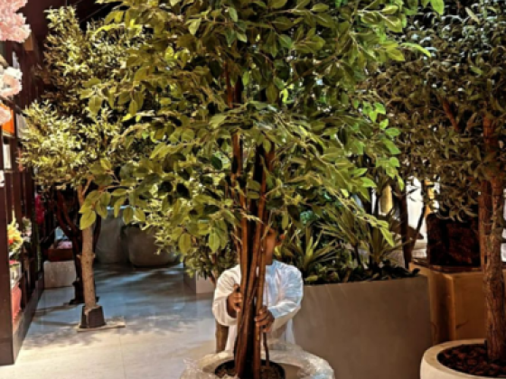 Royal Green House Trading