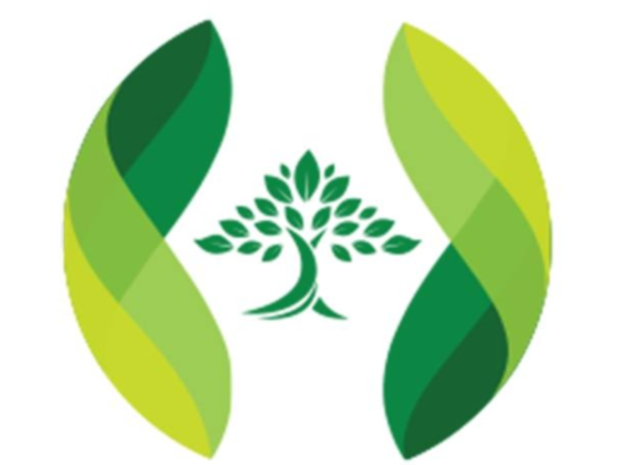 Anvve Organic And Natural Store