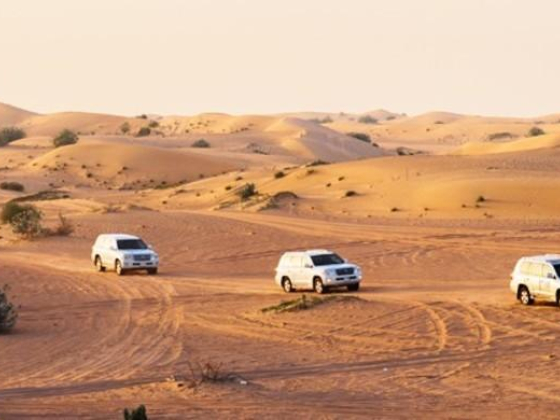 Rayna Tours And Travel