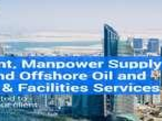 Saa Technical And Specialized Services