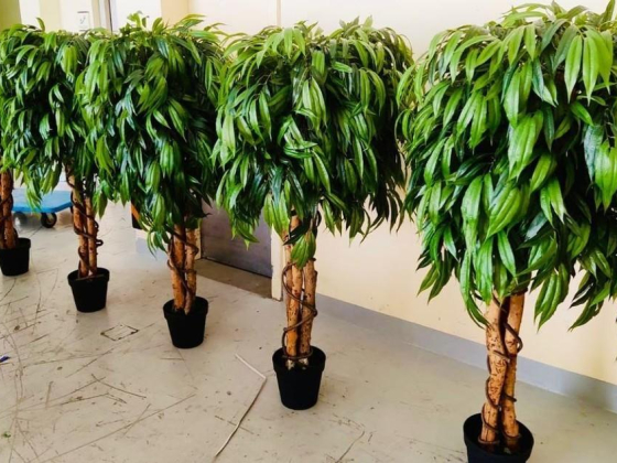 Wow Planet Garden Landscaping
