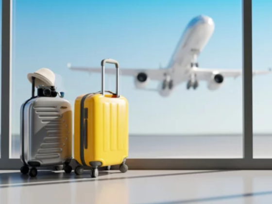 Fourteen Star Travel And Tourism