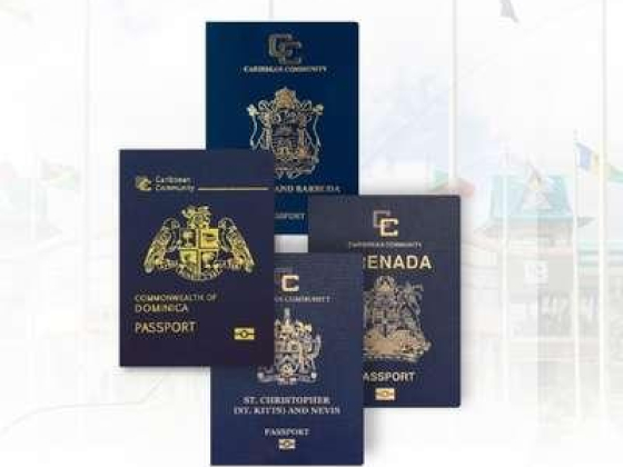Alam Nama Migration Services