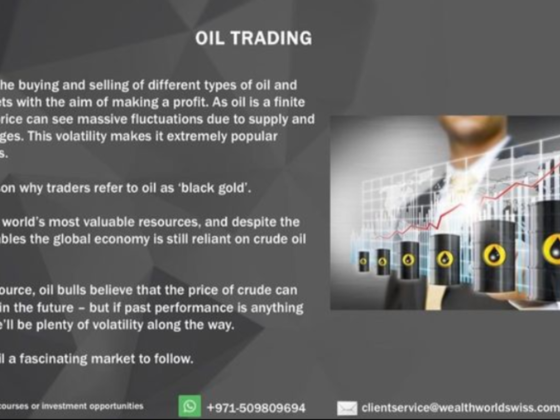 Wealth World Capital Investments