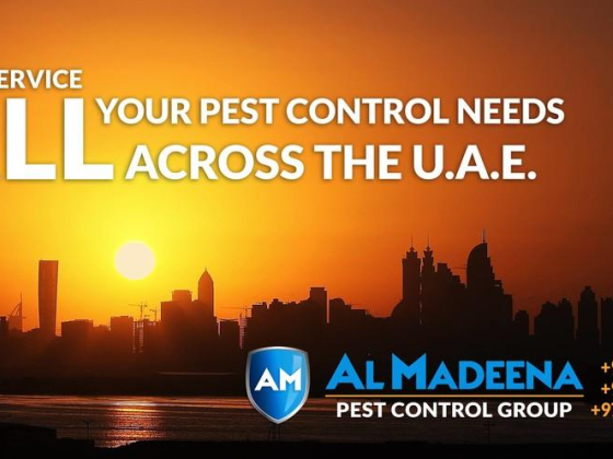 Saqer Al Madeena Pest Control Services