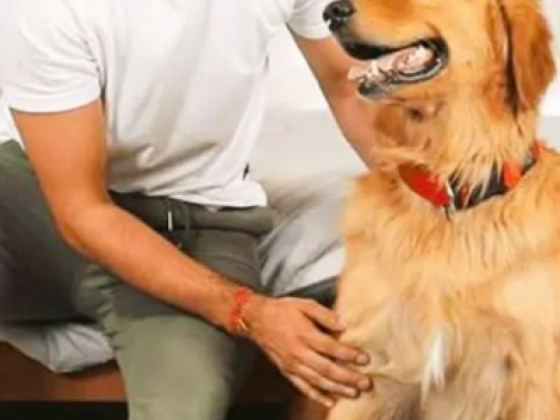 Precious Paws Pet Spa