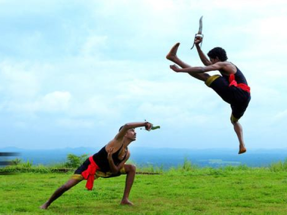 Dulfukhar Martial Arts Training Club