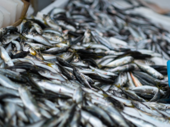 Sultan Mohd Abdulla Bukattara Fish Stall