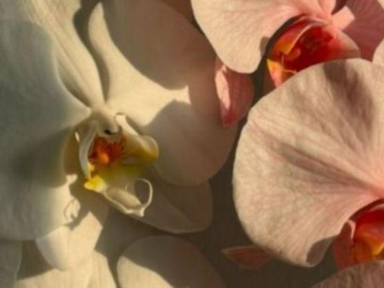 Duflorals