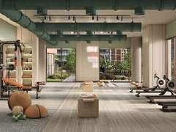 M & Y Property