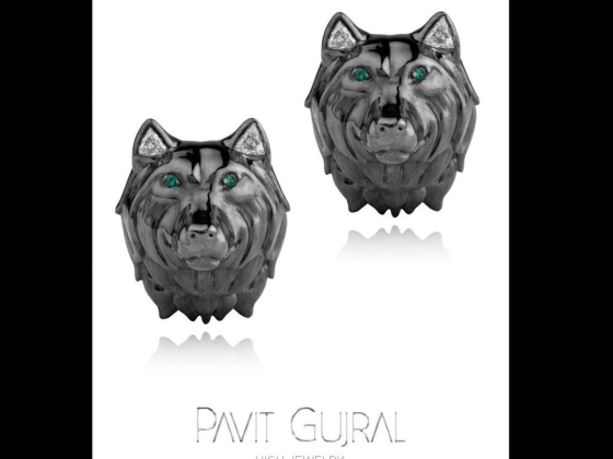 Pavit Gujral Designs