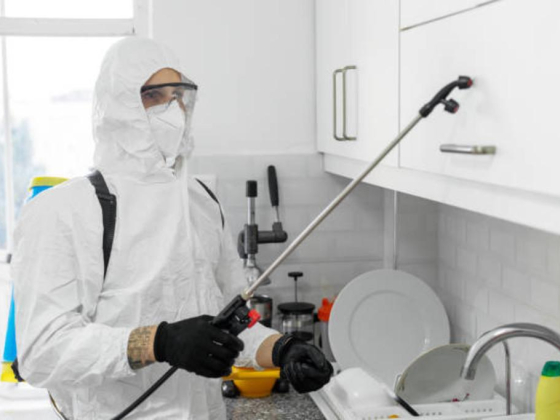 Debug Pest Control Services